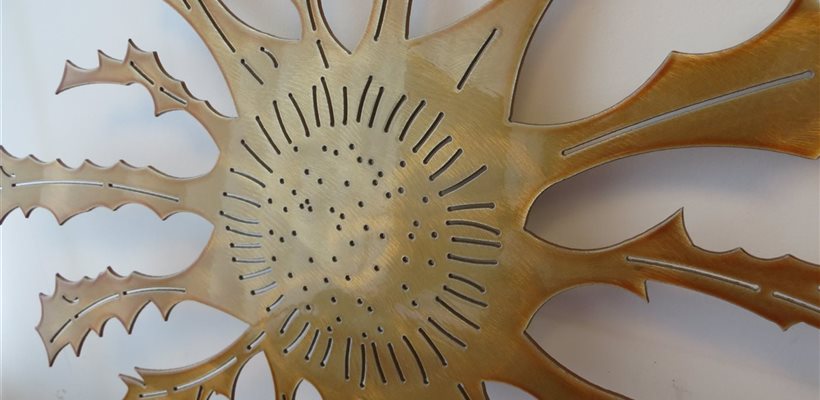 Cardabelle découpe jet d'eau pourquié aveyron